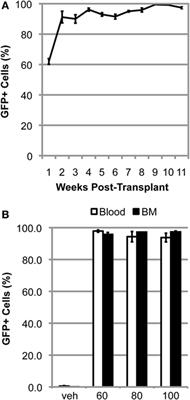 Bone Marrow-Derived Cell Accumulation in the Spinal Cord Is Independent of Peripheral Mobilization in a Mouse Model of Amyotrophic Lateral Sclerosis